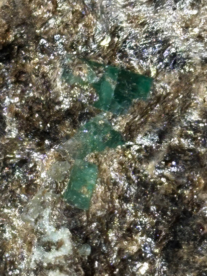 Smaragdkristalle auf Matrix, Habachtal EXTRA Qualität, Museumsstück Smaragd in Biotit Glimmer Matrix, Alpine Mineralien