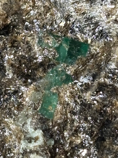 Smaragdkristalle auf Matrix, Habachtal EXTRA Qualität, Museumsstück Smaragd in Biotit Glimmer Matrix, Alpine Mineralien