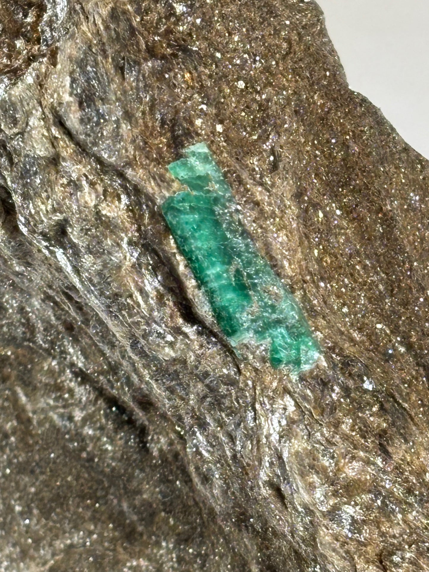 Smaragdkristalle auf Matrix, Habachtal EXTRA Qualität, Museumsstück Smaragd in Biotit Glimmer Matrix, Alpine Mineralien