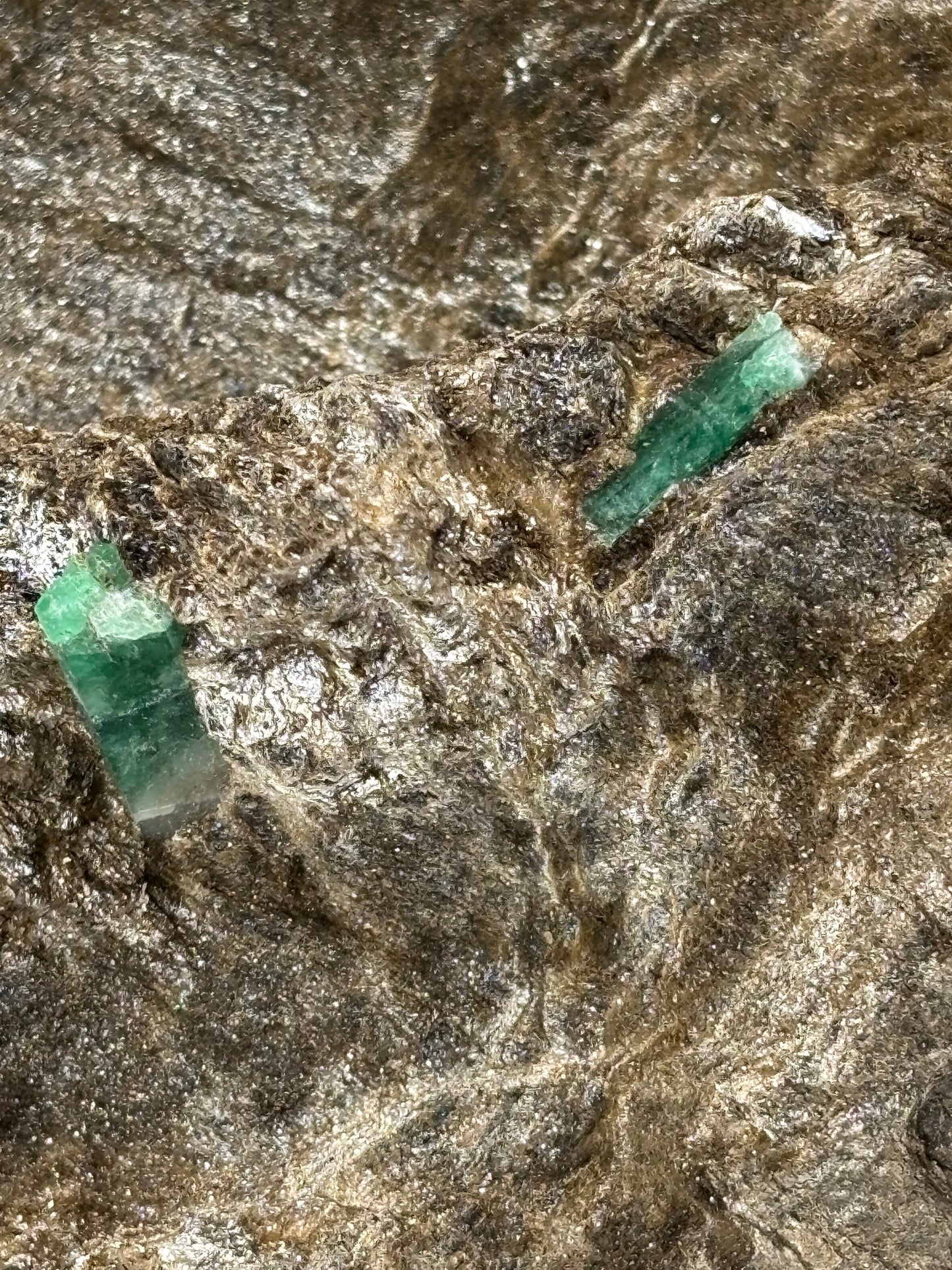 Smaragdkristalle auf Matrix, Habachtal EXTRA Qualität, Museumsstück Smaragd in Biotit Glimmer Matrix, Alpine Mineralien
