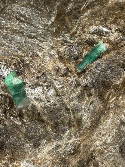Smaragdkristalle auf Matrix, Habachtal EXTRA Qualität, Museumsstück Smaragd in Biotit Glimmer Matrix, Alpine Mineralien