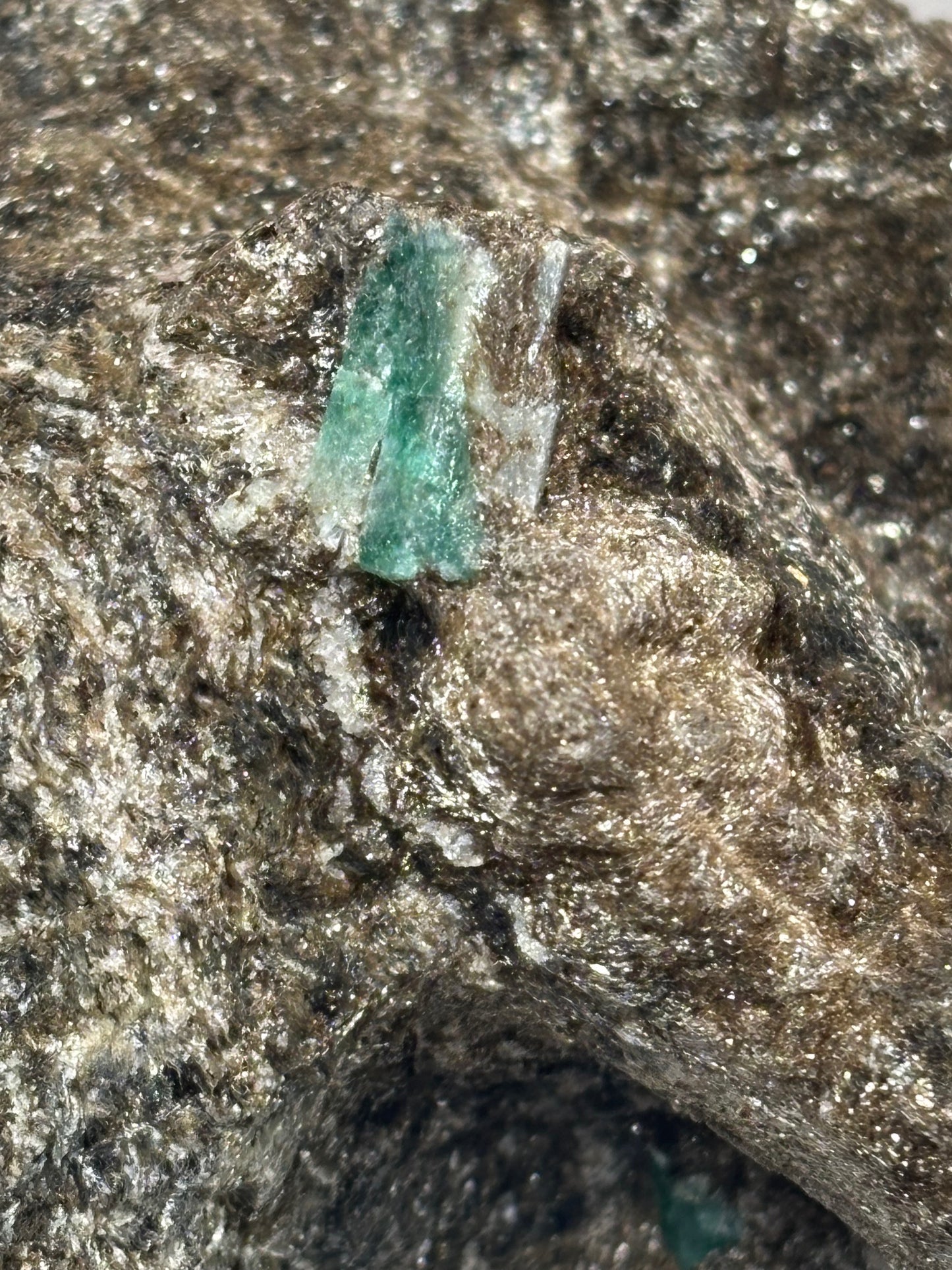 Smaragdkristalle auf Matrix, Habachtal EXTRA Qualität, Museumsstück Smaragd in Biotit Glimmer Matrix, Alpine Mineralien
