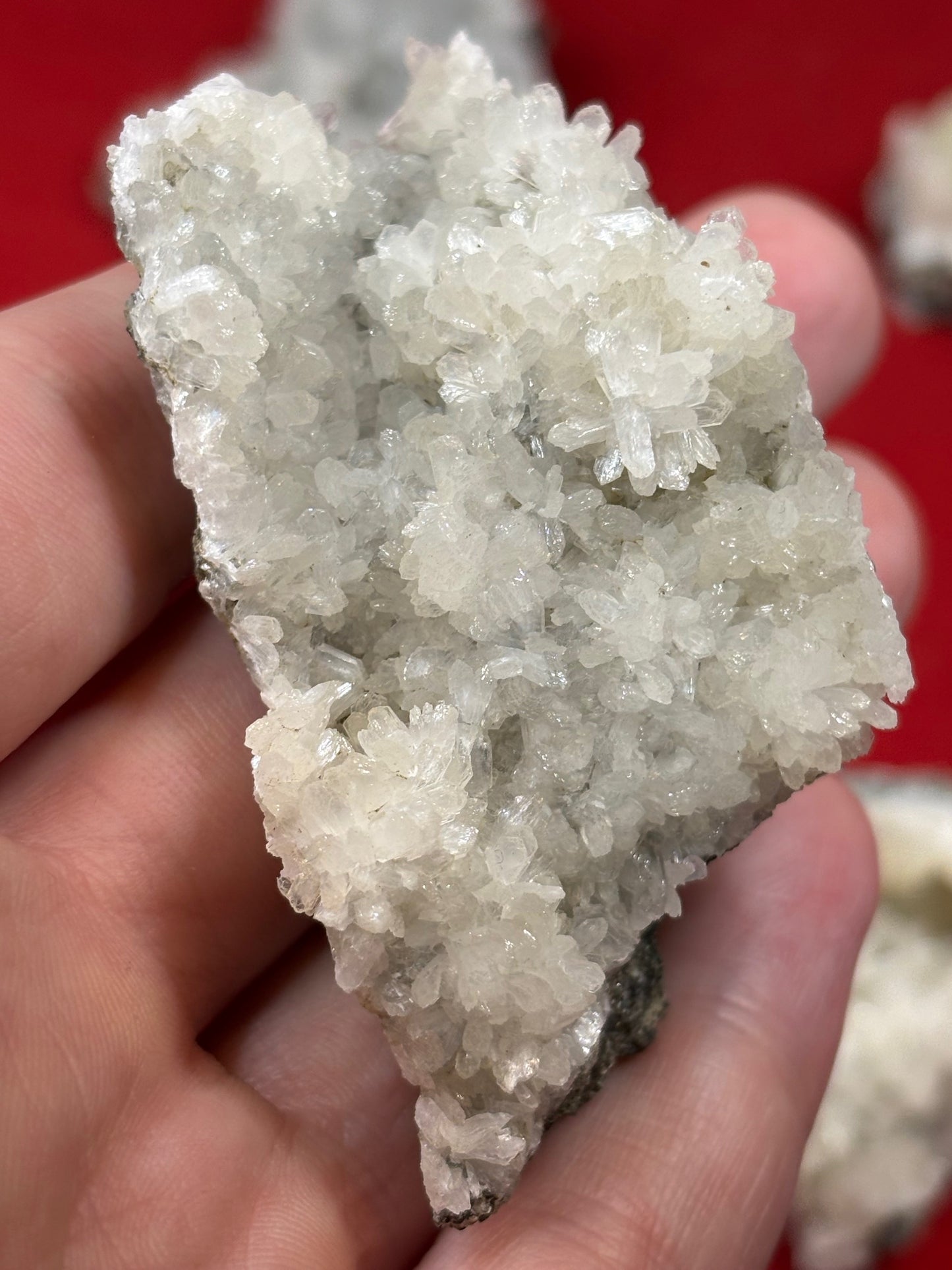 Stellerit Kristalle in bester Qualität, Dyer Quarry USA, Zeolitmineralien Rarität, Zeolith