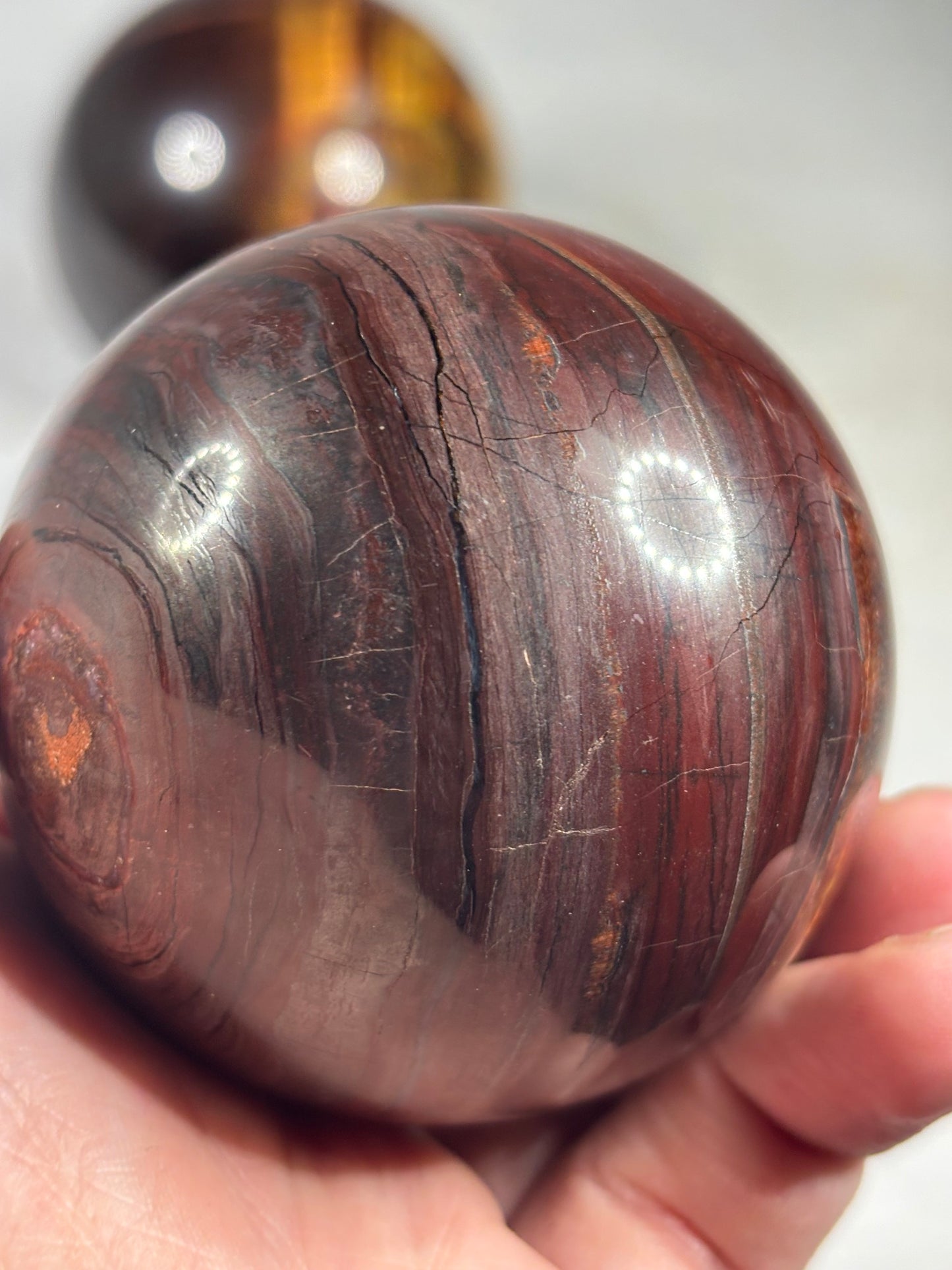 Tigerauge Kugel XL gelb & rot mit Tigereisen, beste Qualität, ca. 60-80mm Durchmesser Ochsenauge