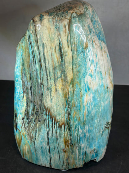 Versteinertes Holz mit Chrysokoll, XL (ca. 8,3 Kg) in bester Qualität, Collawood Kupfermineralien Museumsstück Rarität fossiler Baumstamm Garut Indonesien