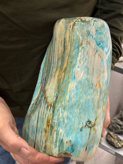 Versteinertes Holz mit Chrysokoll, XL (ca. 8,3 Kg) in bester Qualität, Collawood Kupfermineralien Museumsstück Rarität fossiler Baumstamm Garut Indonesien