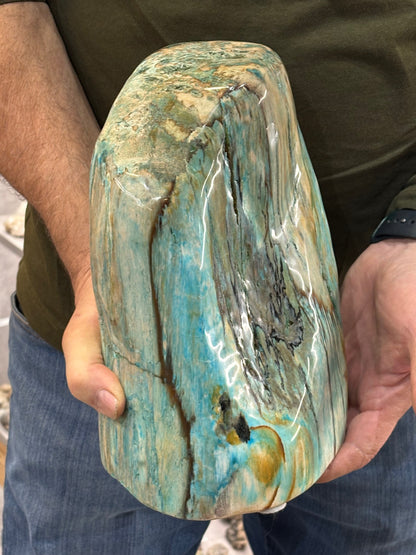 Versteinertes Holz mit Chrysokoll, XL (ca. 8,3 Kg) in bester Qualität, Collawood Kupfermineralien Museumsstück Rarität fossiler Baumstamm Garut Indonesien