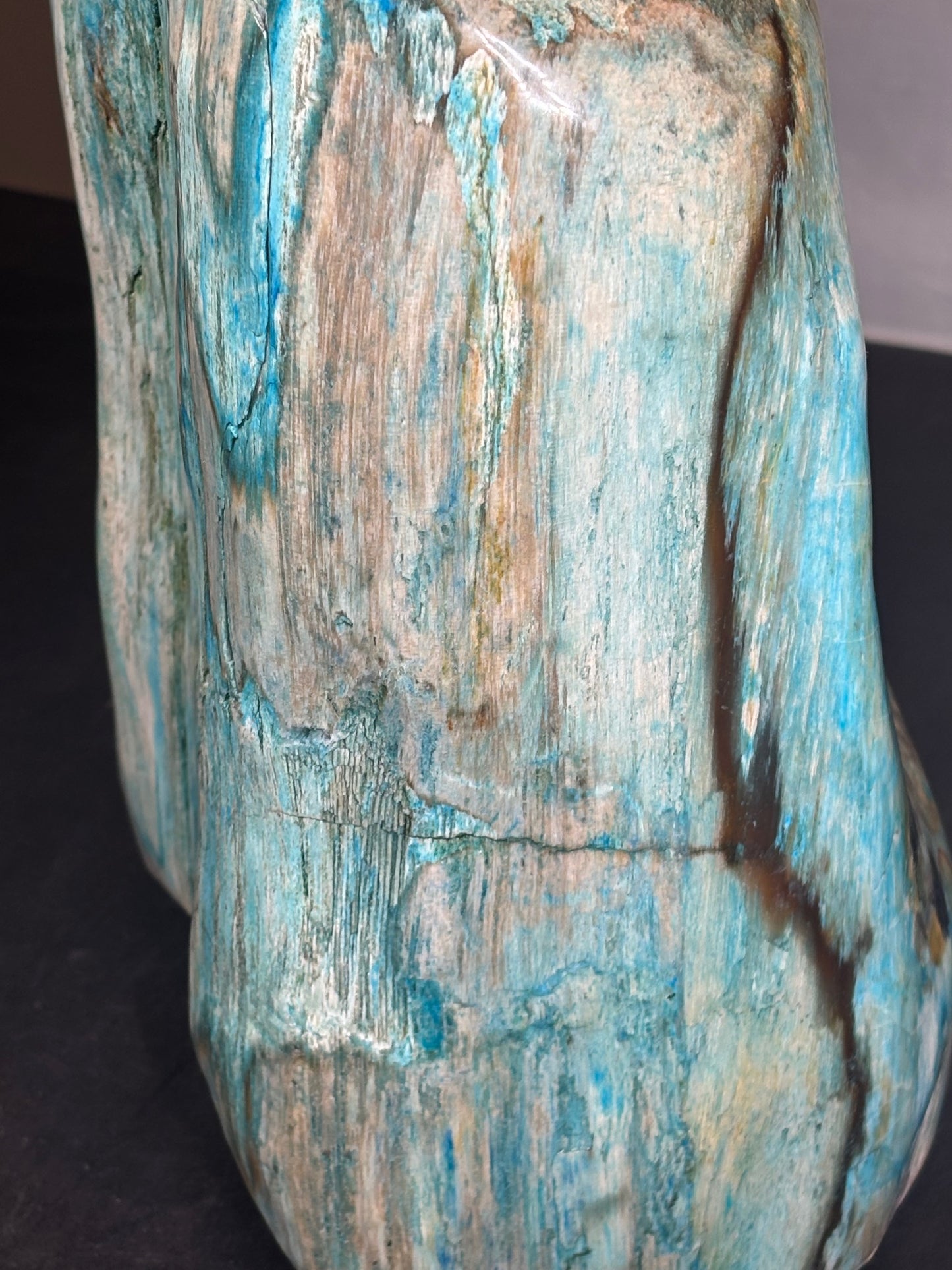Versteinertes Holz mit Chrysokoll, XL (ca. 8,3 Kg) in bester Qualität, Collawood Kupfermineralien Museumsstück Rarität fossiler Baumstamm Garut Indonesien