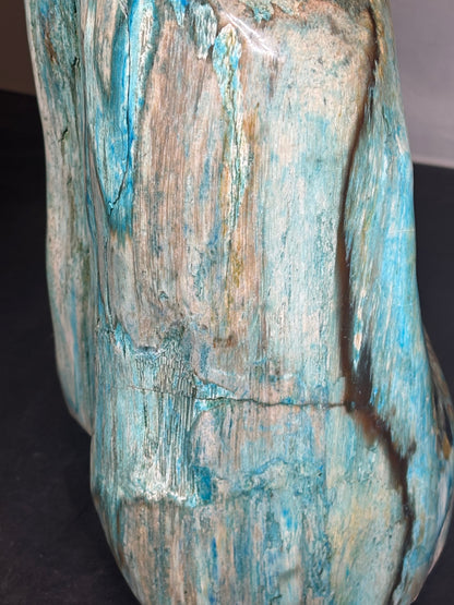 Versteinertes Holz mit Chrysokoll, XL (ca. 8,3 Kg) in bester Qualität, Collawood Kupfermineralien Museumsstück Rarität fossiler Baumstamm Garut Indonesien