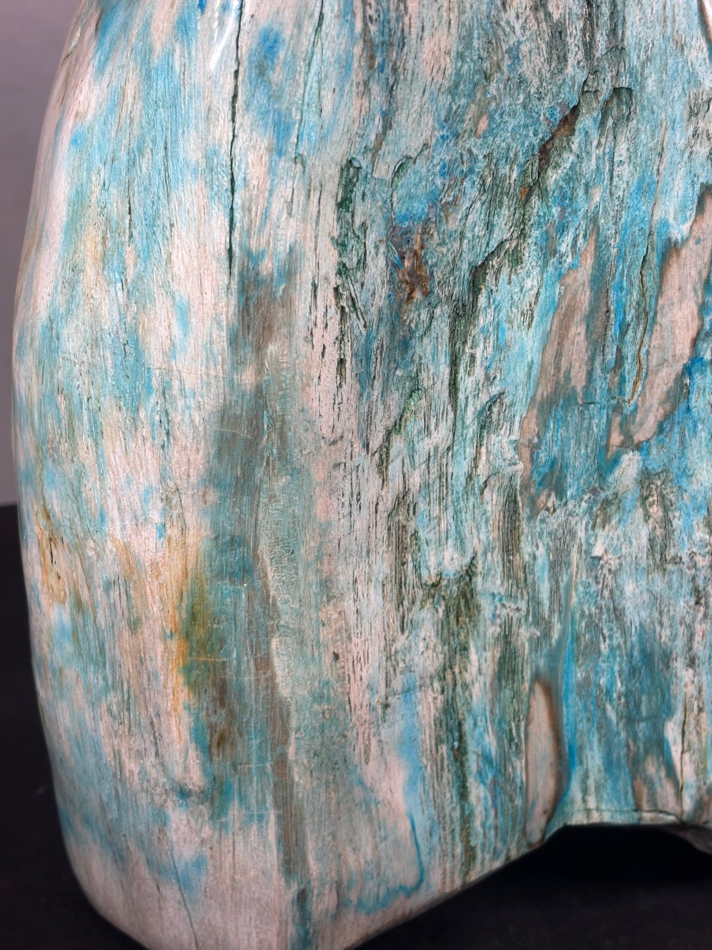Versteinertes Holz mit Chrysokoll, XL (ca. 8,3 Kg) in bester Qualität, Collawood Kupfermineralien Museumsstück Rarität fossiler Baumstamm Garut Indonesien