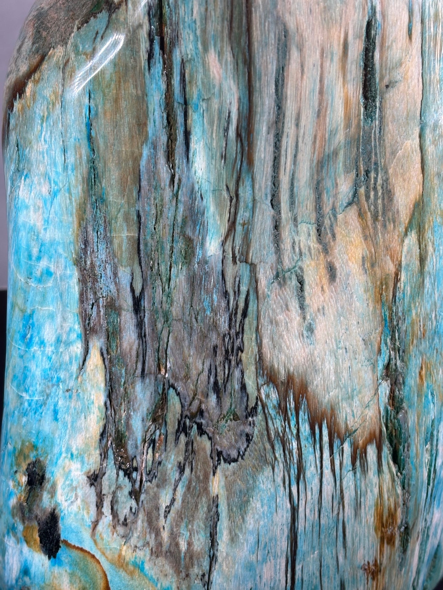 Versteinertes Holz mit Chrysokoll, XL (ca. 8,3 Kg) in bester Qualität, Collawood Kupfermineralien Museumsstück Rarität fossiler Baumstamm Garut Indonesien