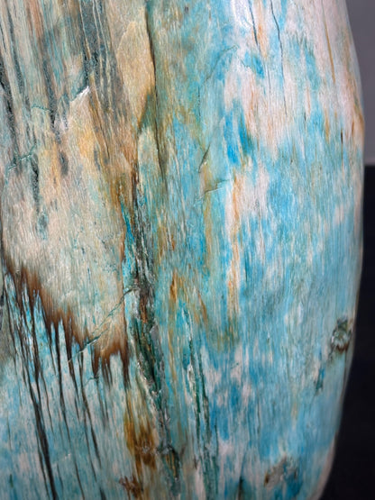 Versteinertes Holz mit Chrysokoll, XL (ca. 8,3 Kg) in bester Qualität, Collawood Kupfermineralien Museumsstück Rarität fossiler Baumstamm Garut Indonesien