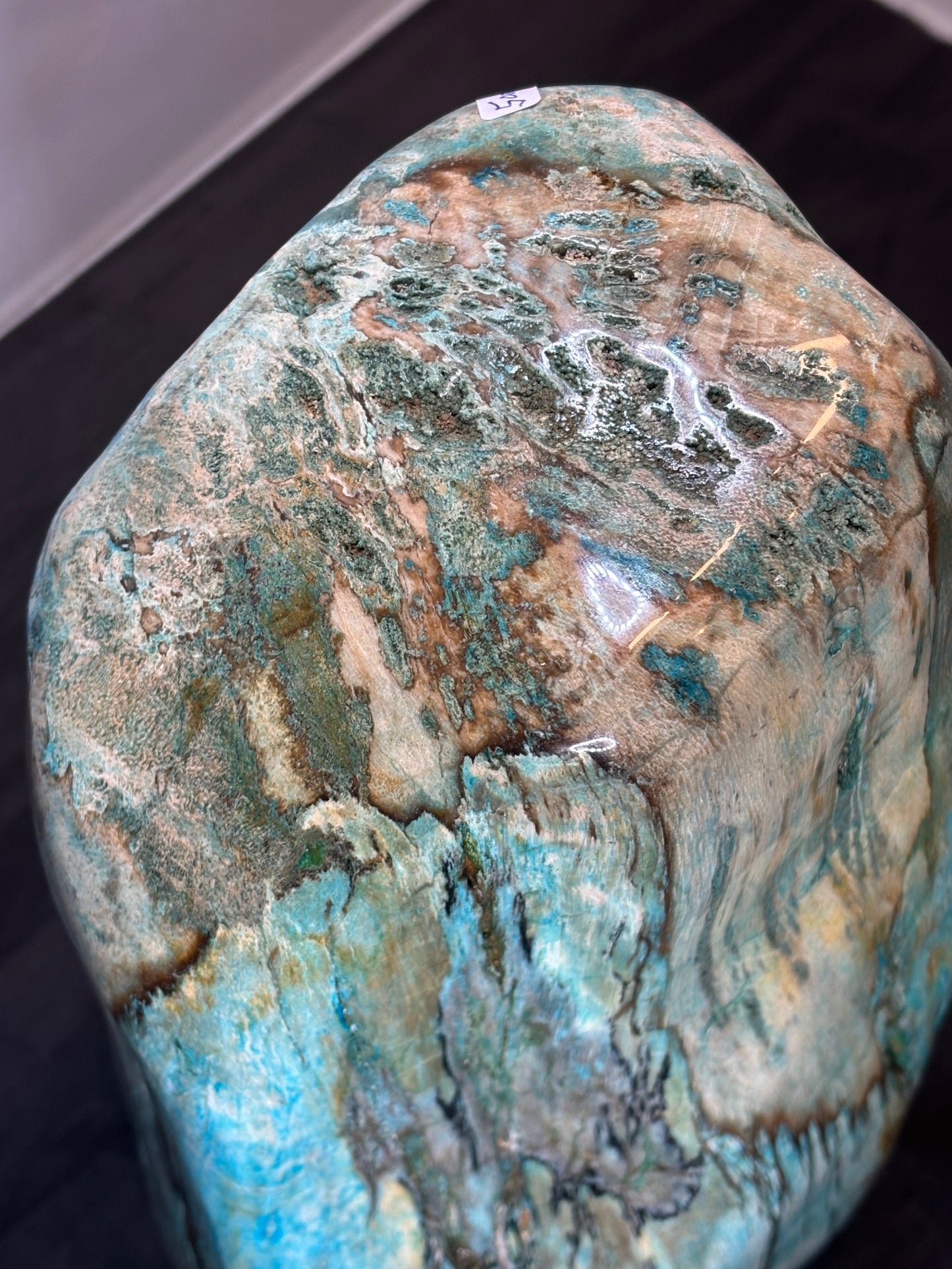 Versteinertes Holz mit Chrysokoll, XL (ca. 8,3 Kg) in bester Qualität, Collawood Kupfermineralien Museumsstück Rarität fossiler Baumstamm Garut Indonesien